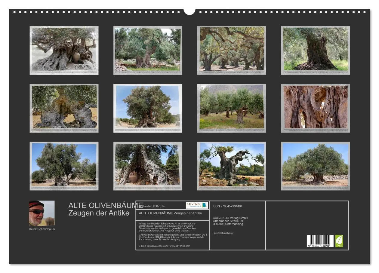 Bild: 9783457934494 | ALTE OLIVENBÄUME Zeugen der Antike (Wandkalender 2026 DIN A2 quer),...