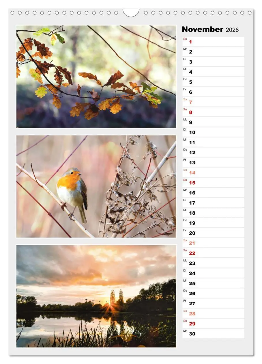 Bild: 9783516334494 | Zauberhafte Farben der Natur (Wandkalender 2026 DIN A3 hoch),...