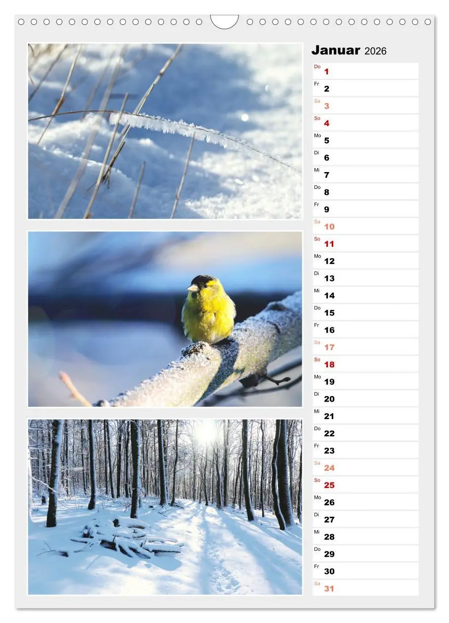 Bild: 9783516334494 | Zauberhafte Farben der Natur (Wandkalender 2026 DIN A3 hoch),...