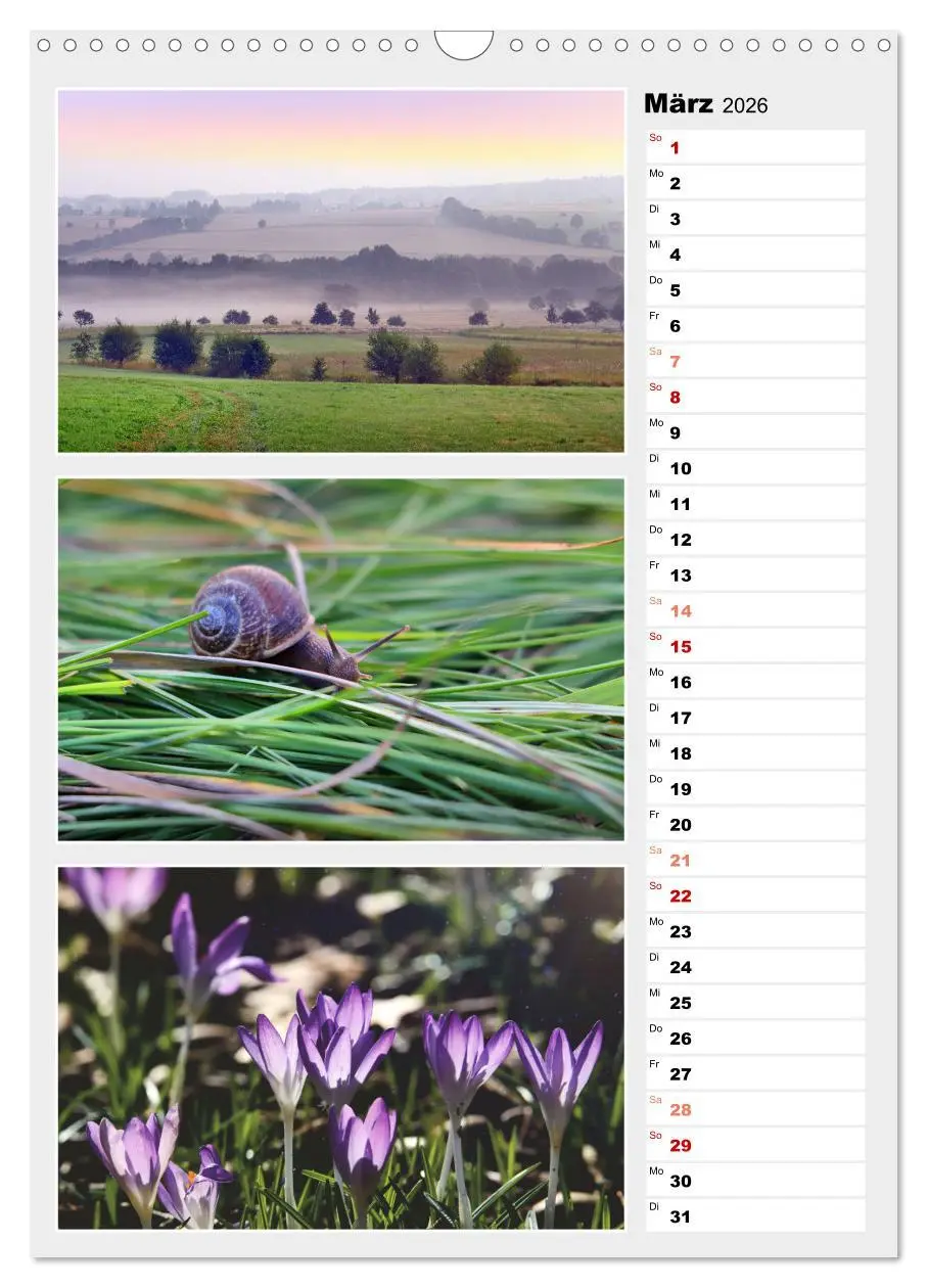 Bild: 9783516334494 | Zauberhafte Farben der Natur (Wandkalender 2026 DIN A3 hoch),...
