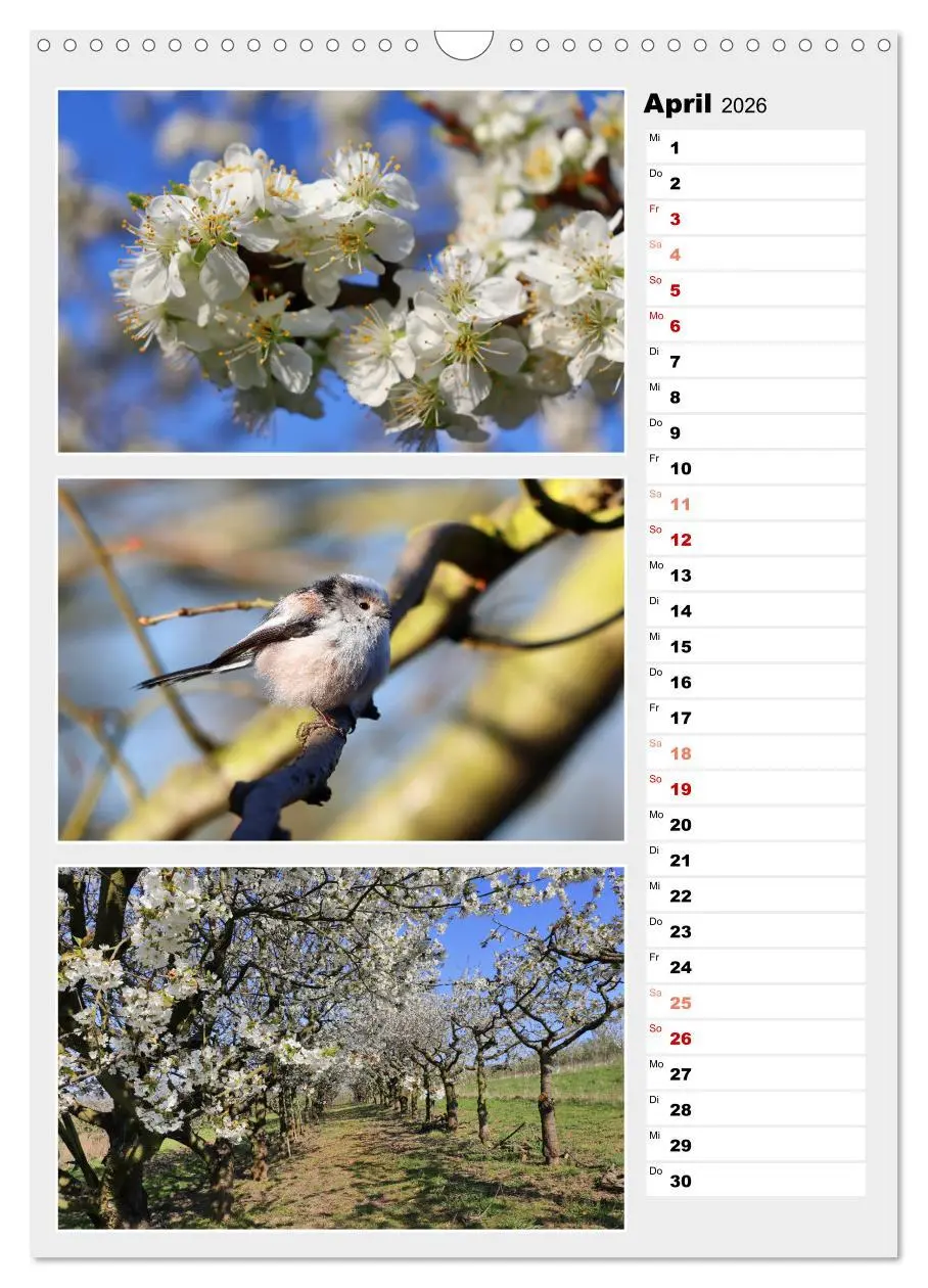 Bild: 9783516334494 | Zauberhafte Farben der Natur (Wandkalender 2026 DIN A3 hoch),...