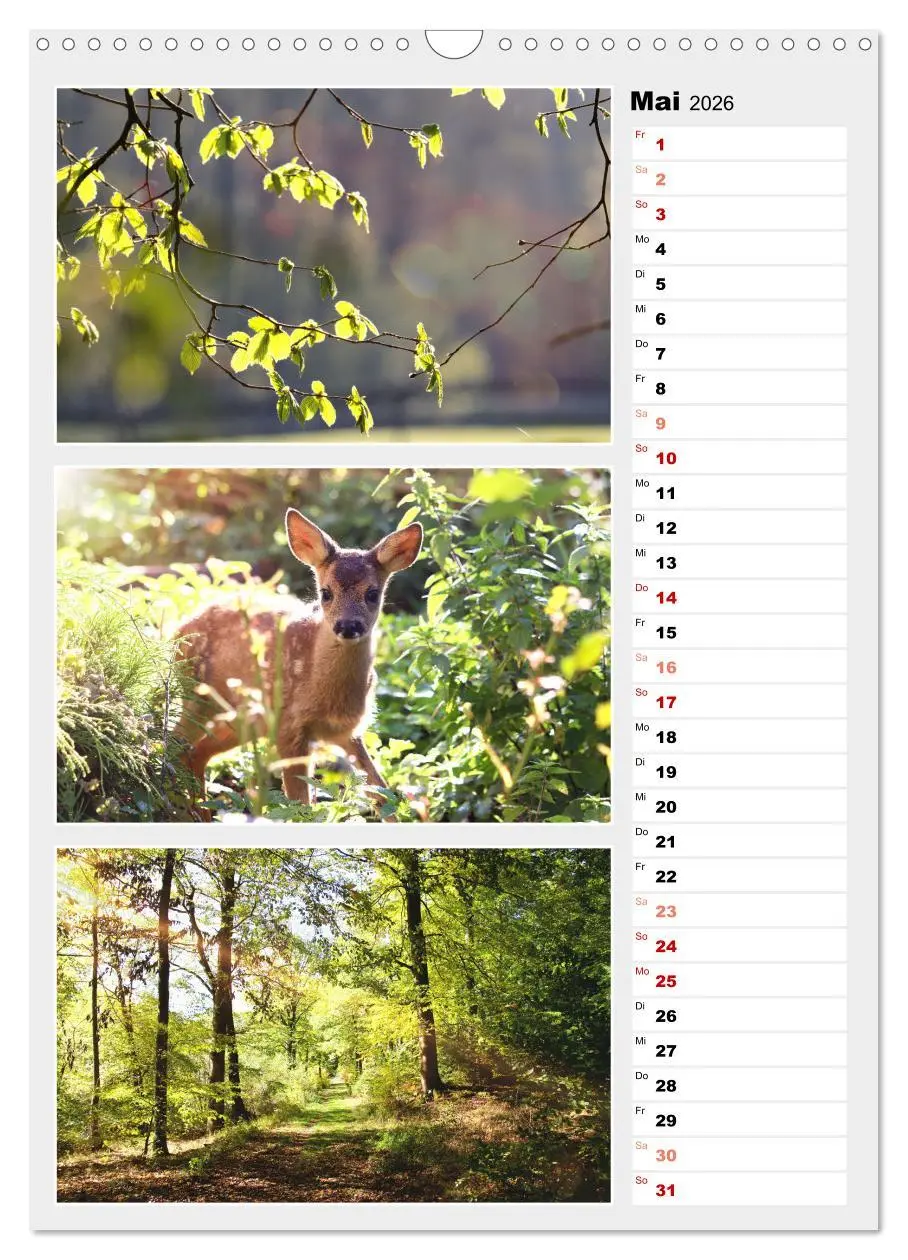 Bild: 9783516334494 | Zauberhafte Farben der Natur (Wandkalender 2026 DIN A3 hoch),...