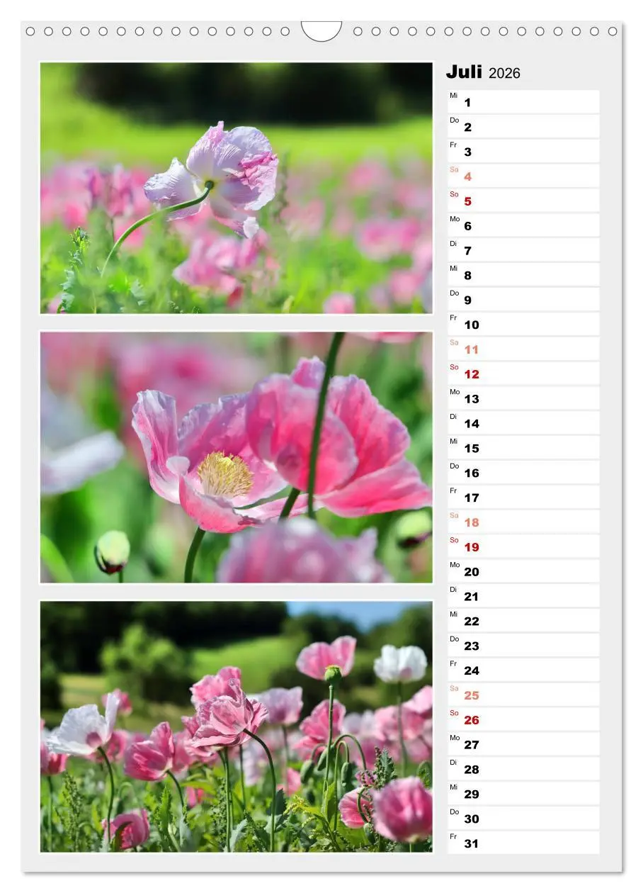 Bild: 9783516334494 | Zauberhafte Farben der Natur (Wandkalender 2026 DIN A3 hoch),...