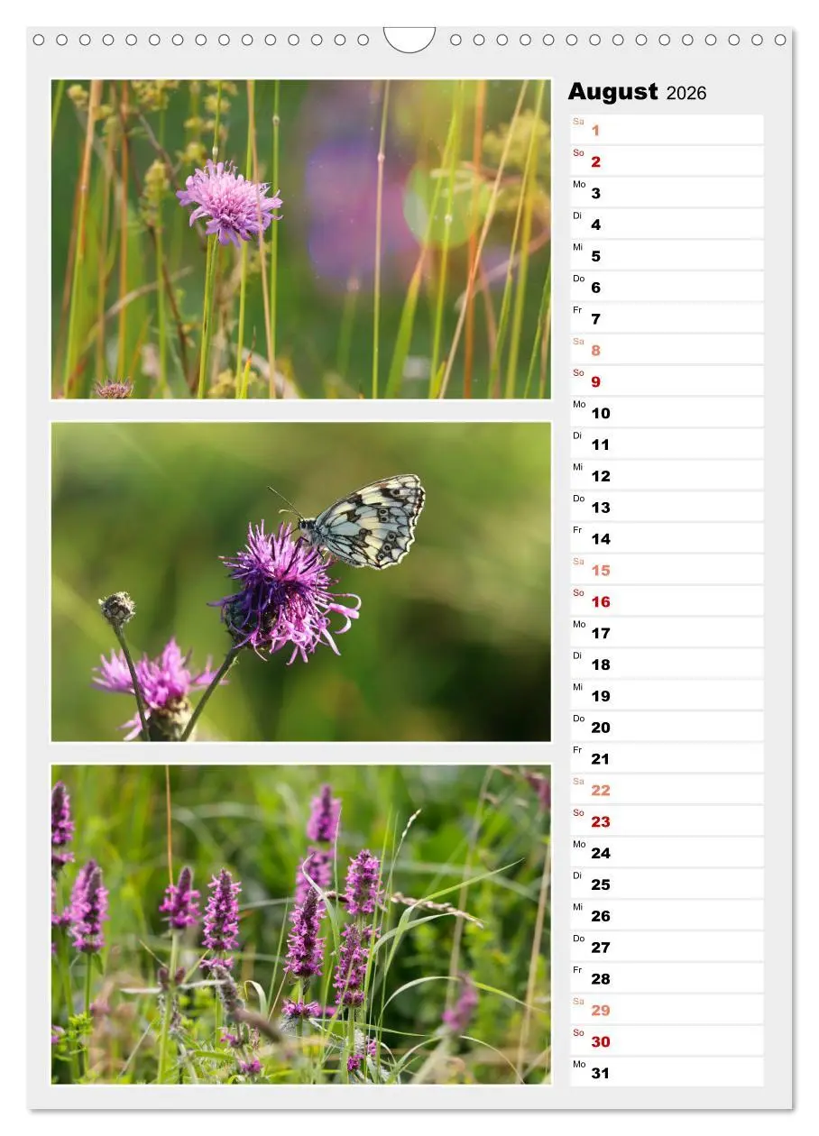 Bild: 9783516334494 | Zauberhafte Farben der Natur (Wandkalender 2026 DIN A3 hoch),...