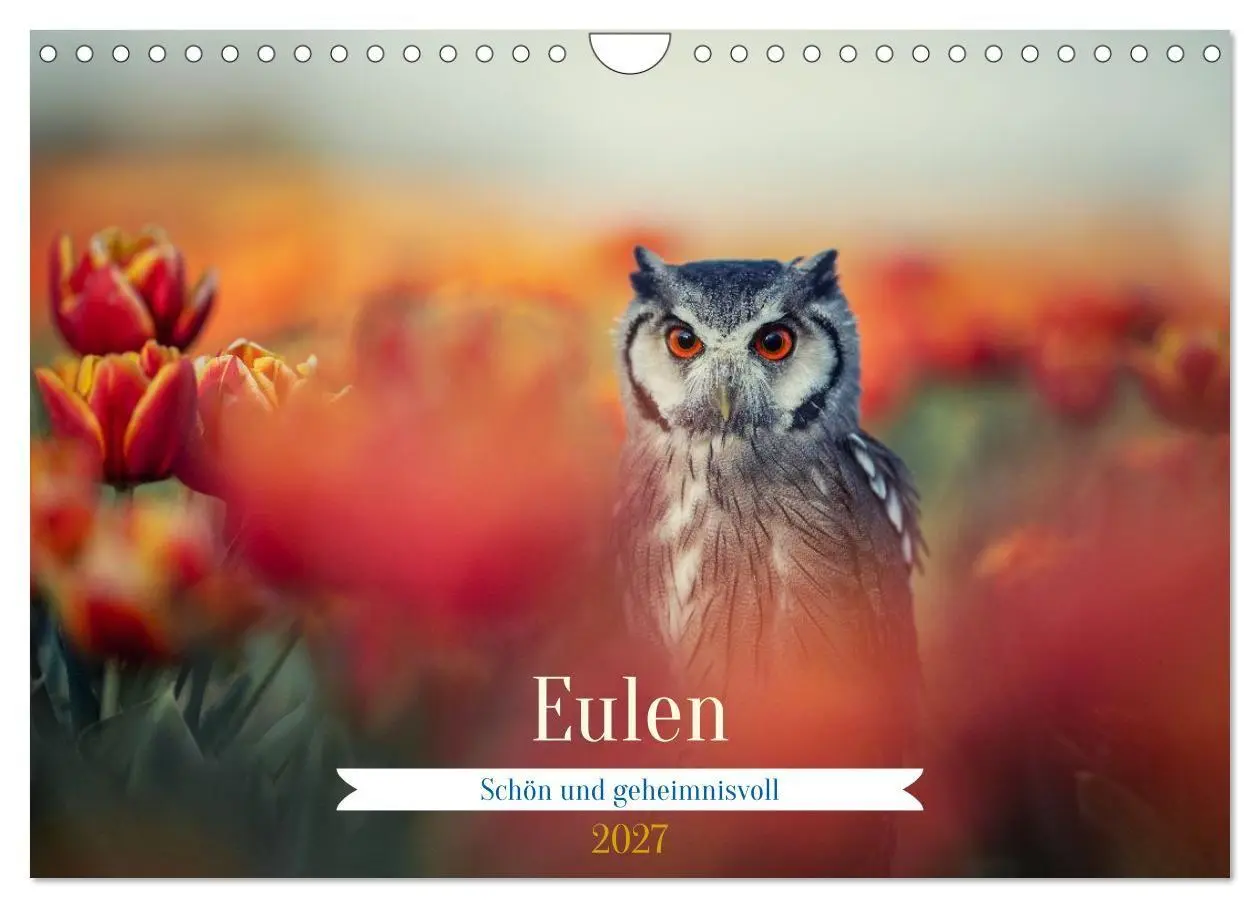Cover: 9783516954494 | Eulen - schön und geheimnisvoll (Wandkalender 2027 DIN A4 quer),...