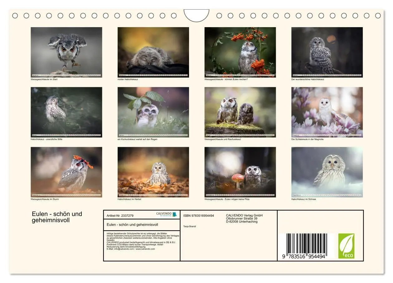 Bild: 9783516954494 | Eulen - schön und geheimnisvoll (Wandkalender 2027 DIN A4 quer),...