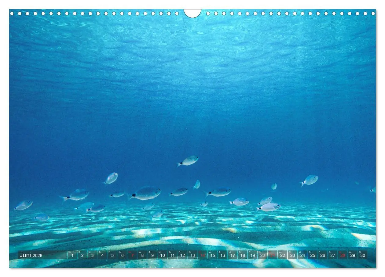 Bild: 9783457304594 | Sardinien - Karibik des Mittelmeers (Wandkalender 2026 DIN A3...
