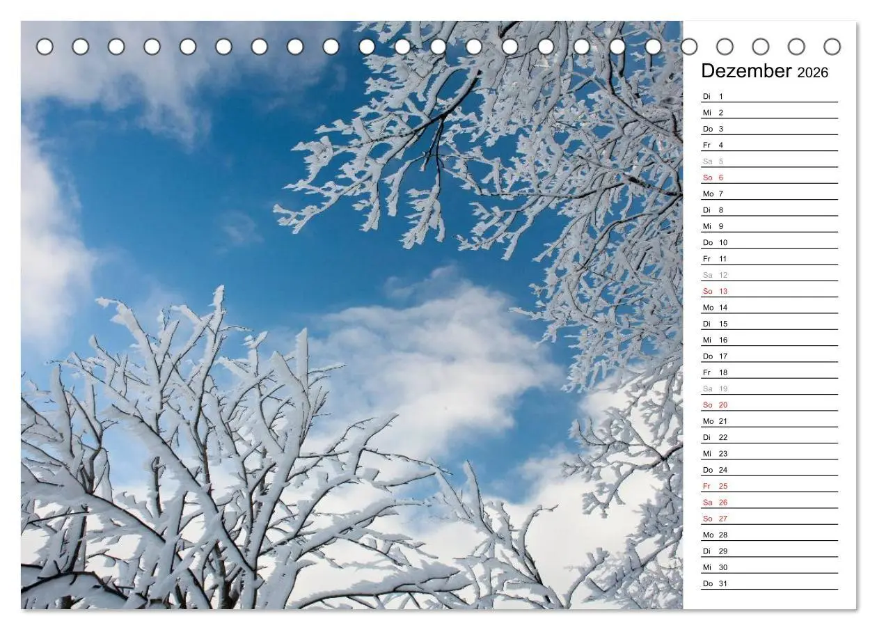 Bild: 9783516004694 | DER STEIGERWALD - Impressionen einer Landschaft (Tischkalender 2026...