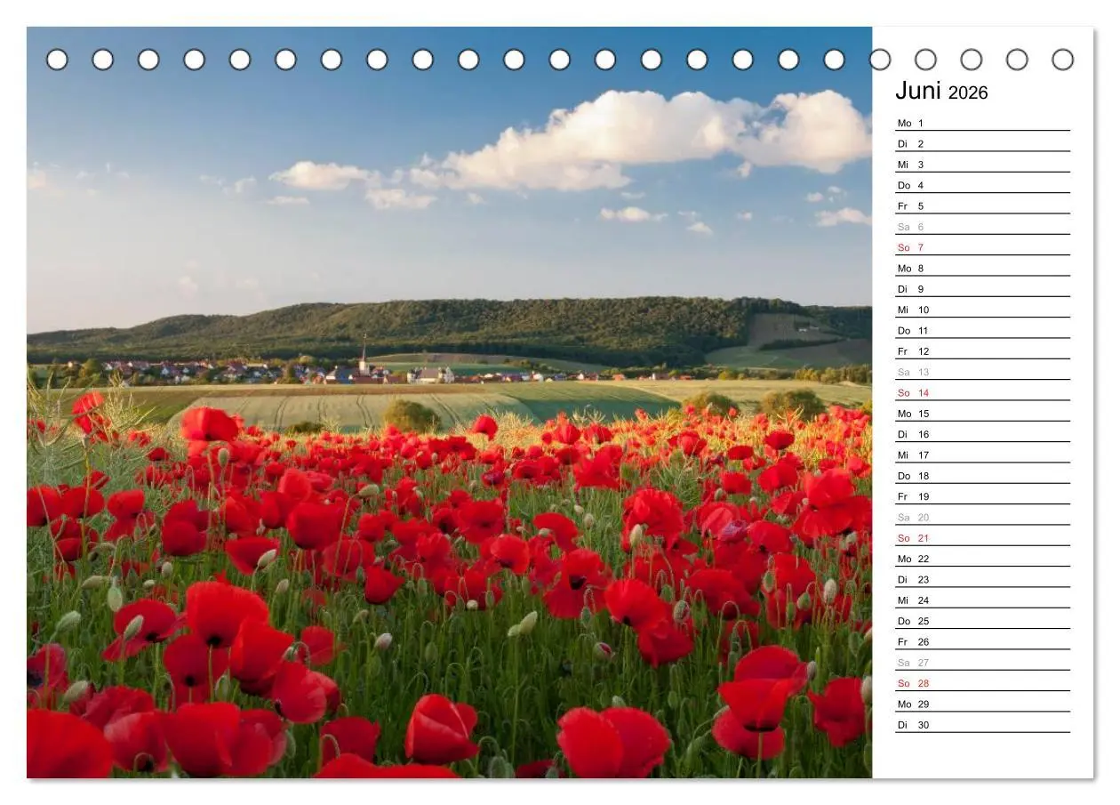 Bild: 9783516004694 | DER STEIGERWALD - Impressionen einer Landschaft (Tischkalender 2026...