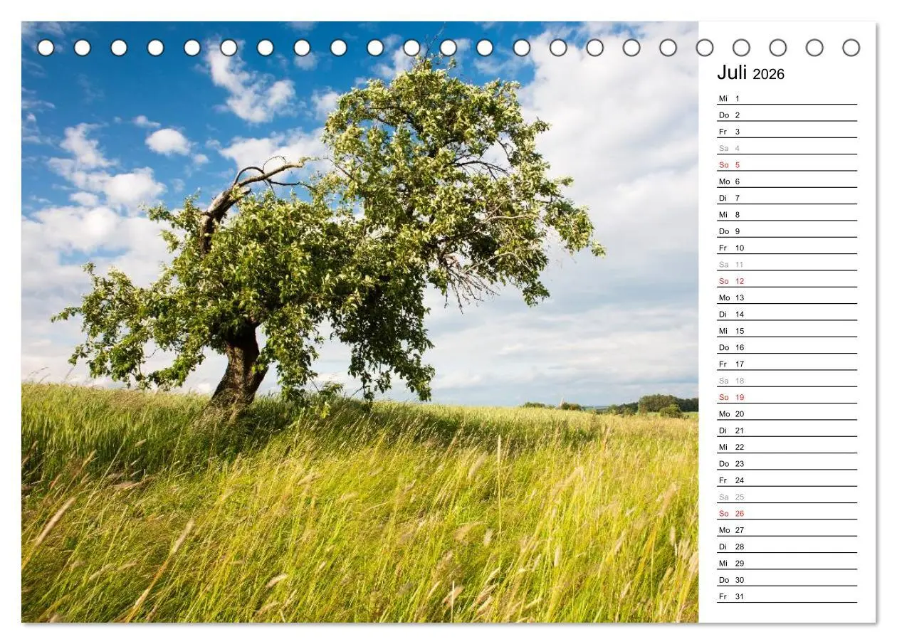 Bild: 9783516004694 | DER STEIGERWALD - Impressionen einer Landschaft (Tischkalender 2026...
