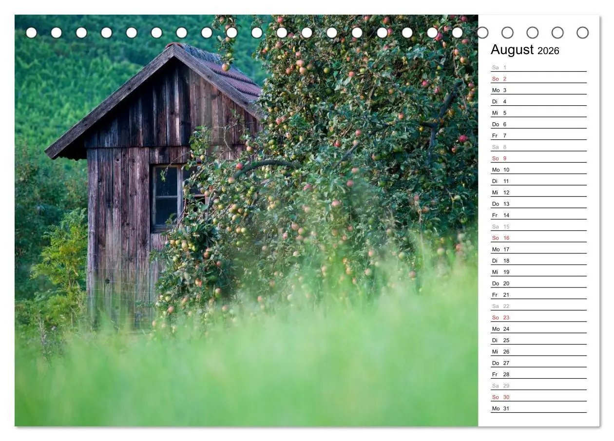 Bild: 9783516004694 | DER STEIGERWALD - Impressionen einer Landschaft (Tischkalender 2026...
