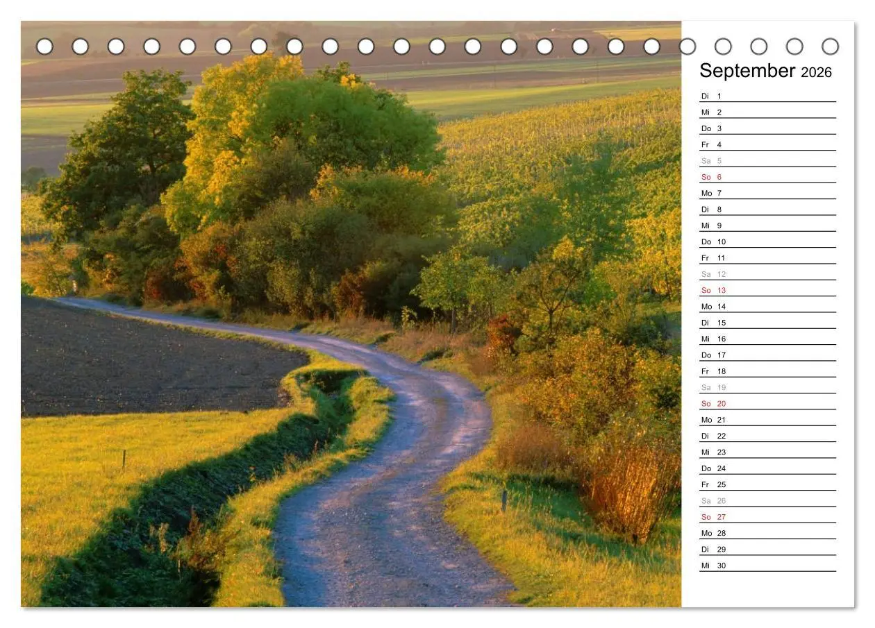 Bild: 9783516004694 | DER STEIGERWALD - Impressionen einer Landschaft (Tischkalender 2026...