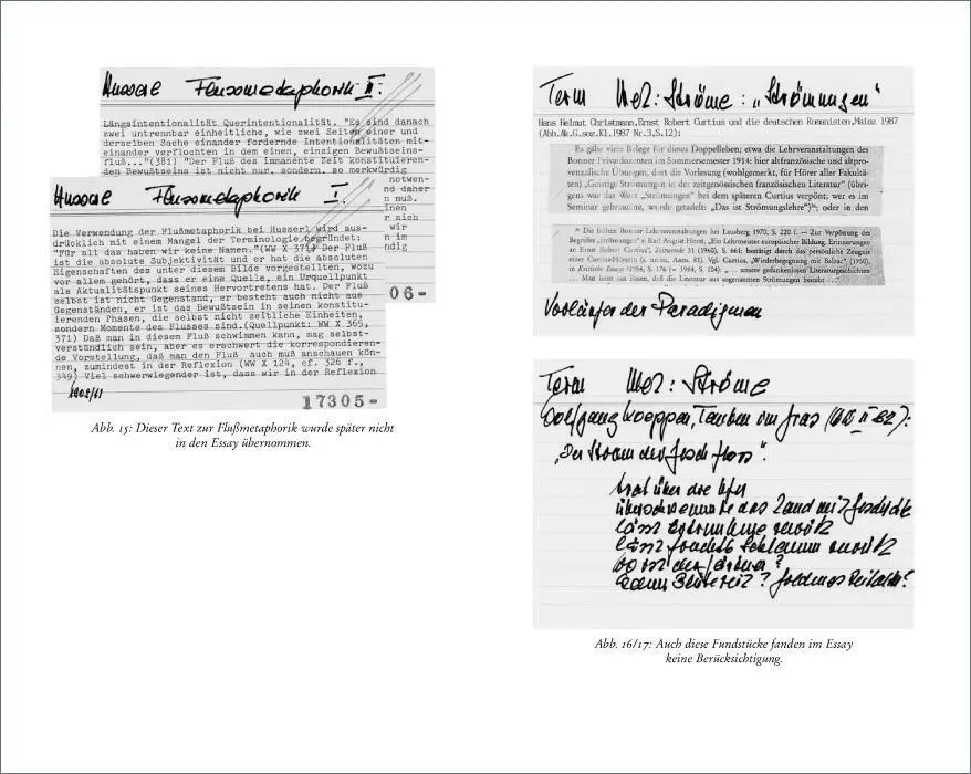 Bild: 9783518224694 | Quellen, Ströme, Eisberge | Über Metaphern | Hans Blumenberg | Buch