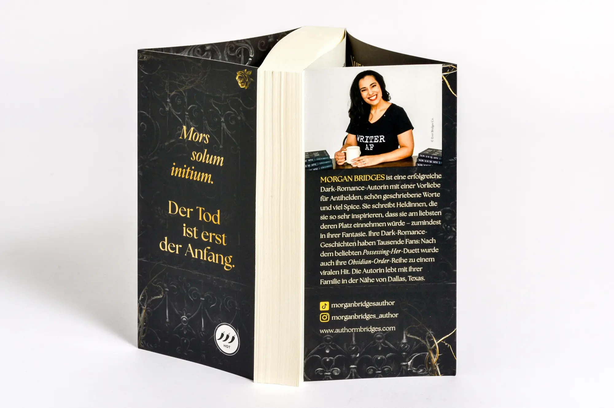 Bild: 9783734114694 | Vicious Secret | Roman - Der Dark-Romance-Hype endlich auf Deutsch!