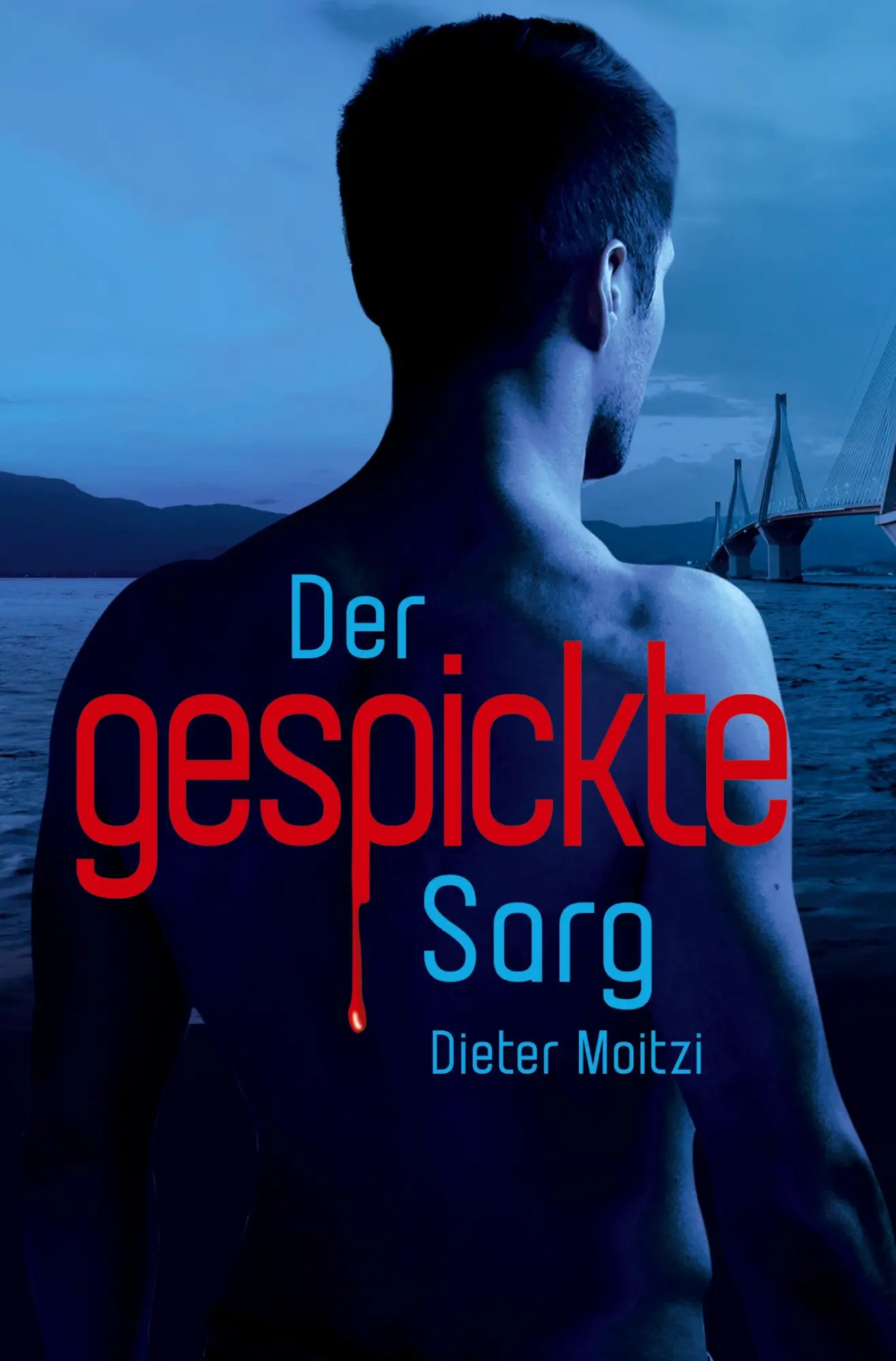 Cover: 9783754604694 | Der gespickte Sarg | Dieter Moitzi | Taschenbuch | 328 S. | Deutsch