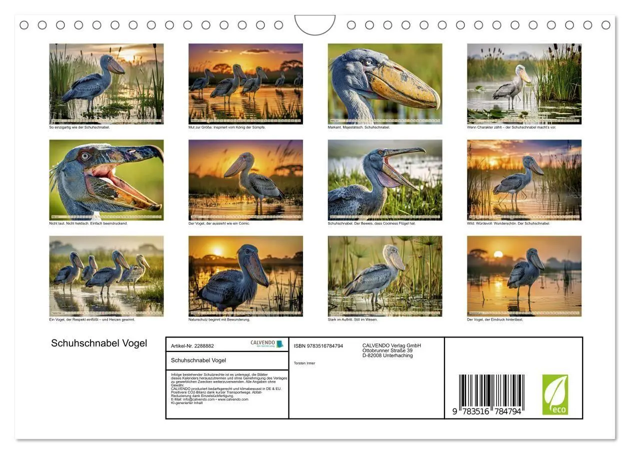 Bild: 9783516784794 | Schuhschnabel Vogel (Wandkalender 2027 DIN A4 quer), CALVENDO...