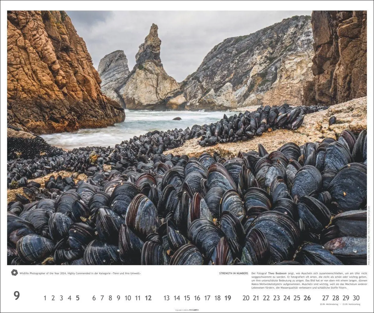 Bild: 9783839904794 | Meisterwerke der Natur 2027 - Preisgekrönte Naturfotografie | Kalender