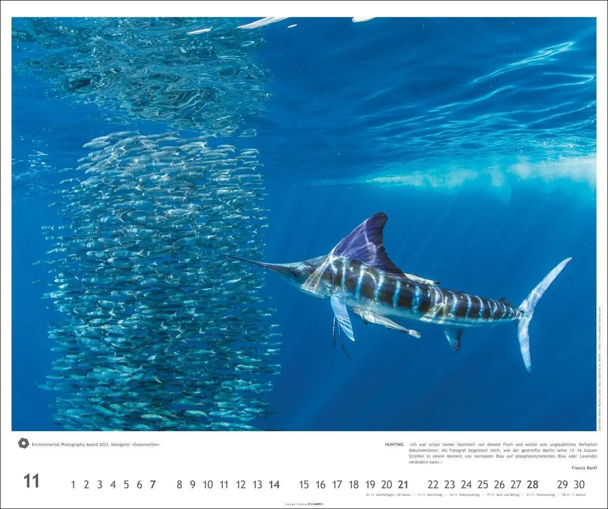 Bild: 9783839904794 | Meisterwerke der Natur 2027 - Preisgekrönte Naturfotografie | Kalender