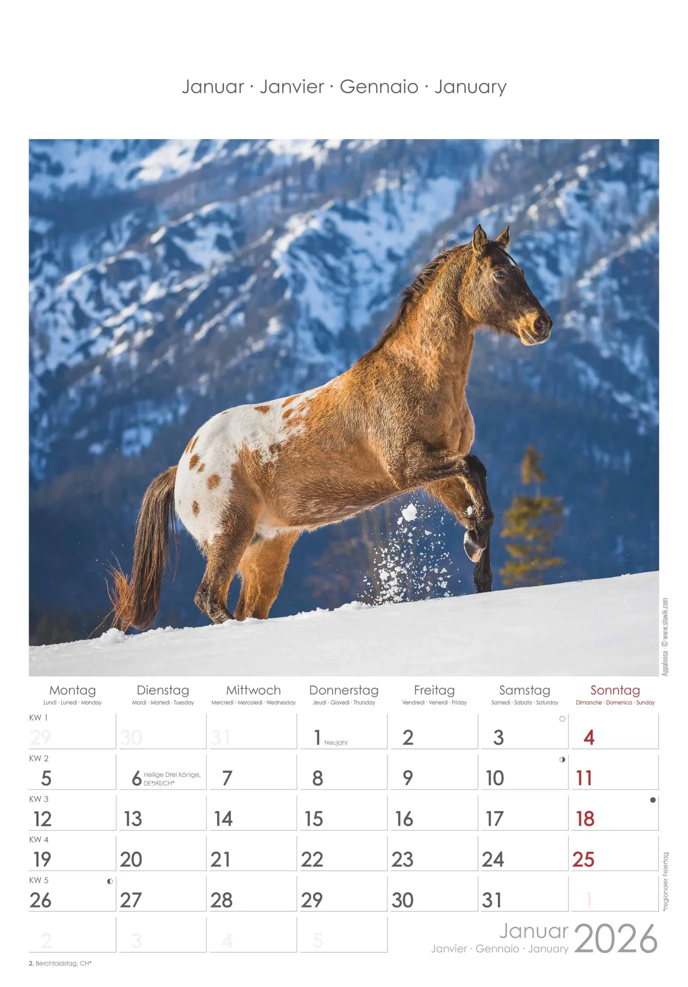 Bild: 4069095004894 | Pferde 2026 - Bildkalender 23,7x34 cm - Kalender mit Platz für...