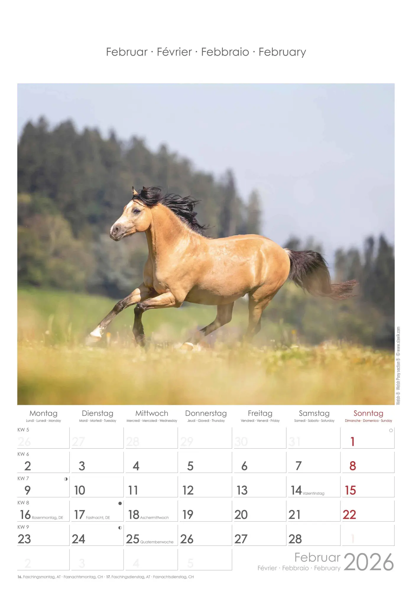 Bild: 4069095004894 | Pferde 2026 - Bildkalender 23,7x34 cm - Kalender mit Platz für...
