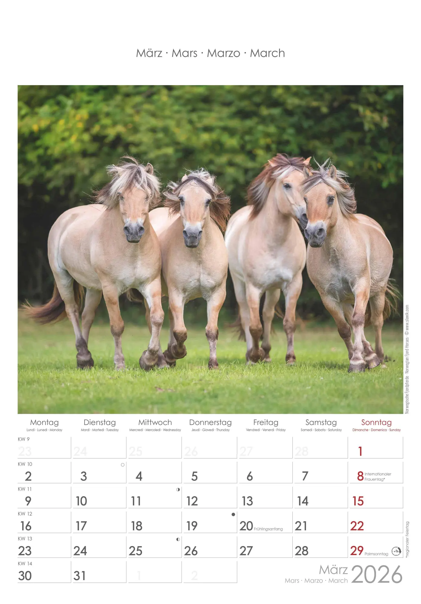 Bild: 4069095004894 | Pferde 2026 - Bildkalender 23,7x34 cm - Kalender mit Platz für...