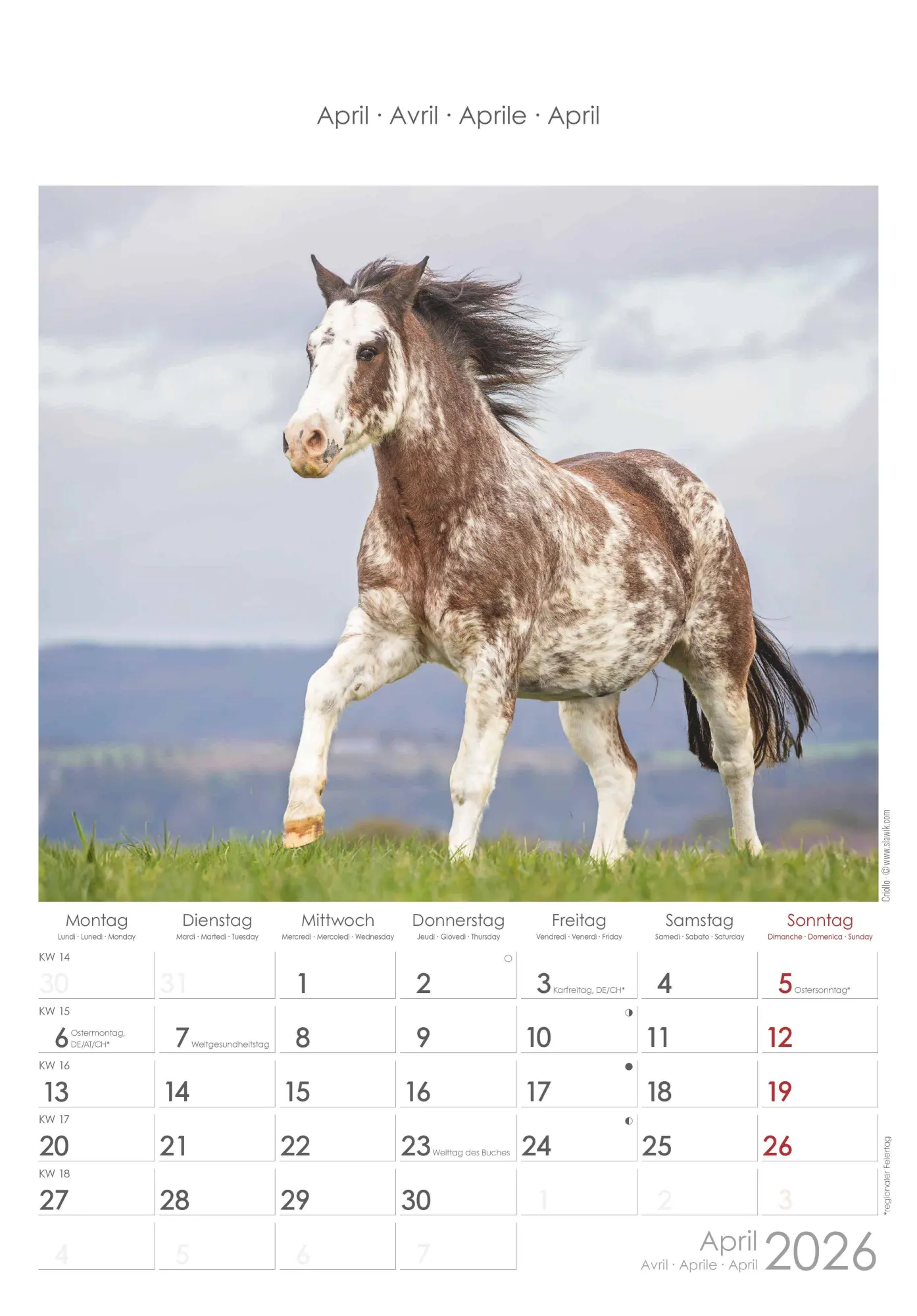 Bild: 4069095004894 | Pferde 2026 - Bildkalender 23,7x34 cm - Kalender mit Platz für...