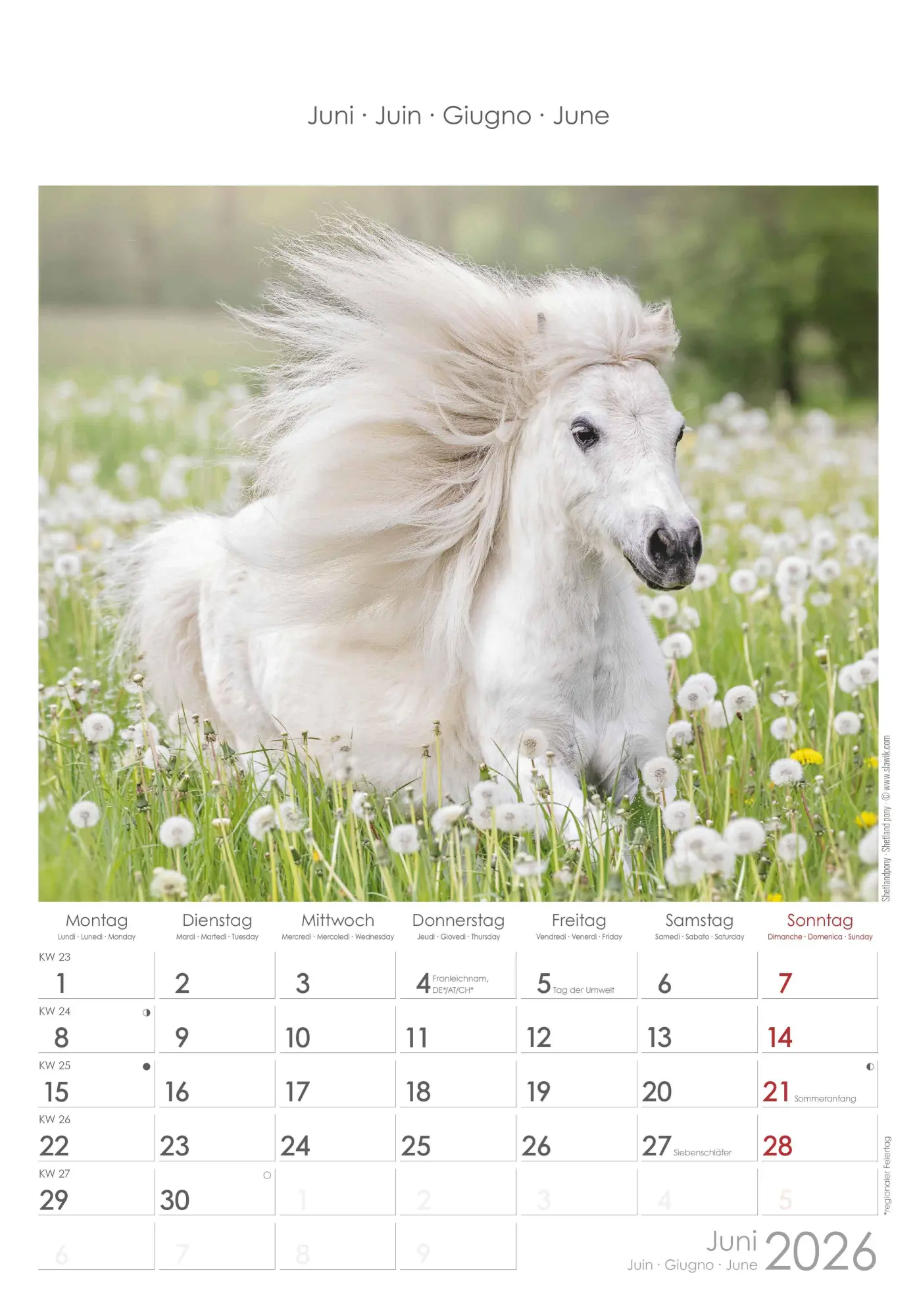 Bild: 4069095004894 | Pferde 2026 - Bildkalender 23,7x34 cm - Kalender mit Platz für...