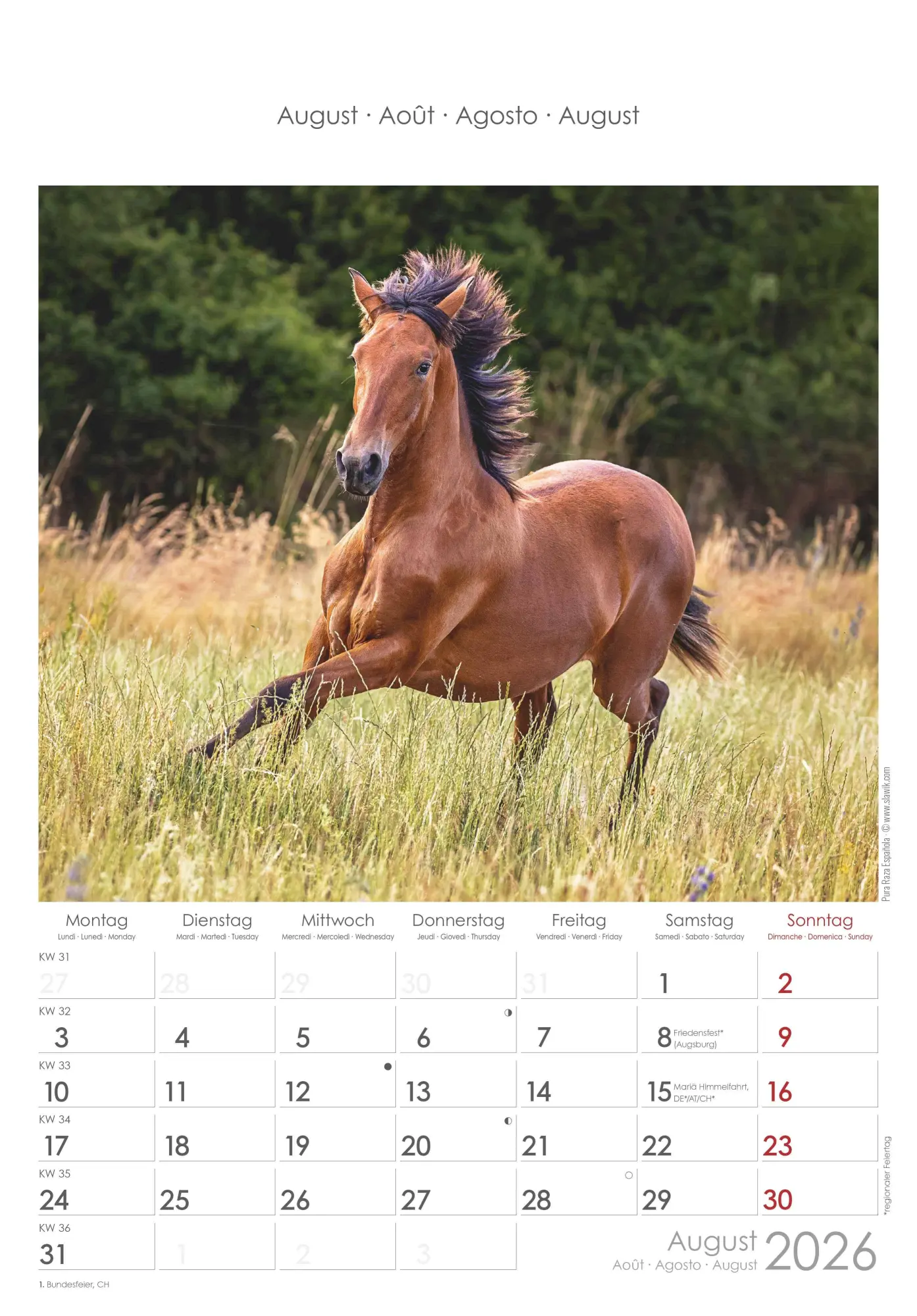 Bild: 4069095004894 | Pferde 2026 - Bildkalender 23,7x34 cm - Kalender mit Platz für...