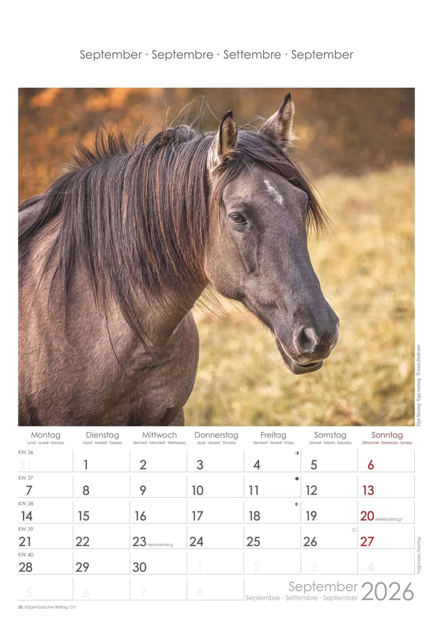 Bild: 4069095004894 | Pferde 2026 - Bildkalender 23,7x34 cm - Kalender mit Platz für...
