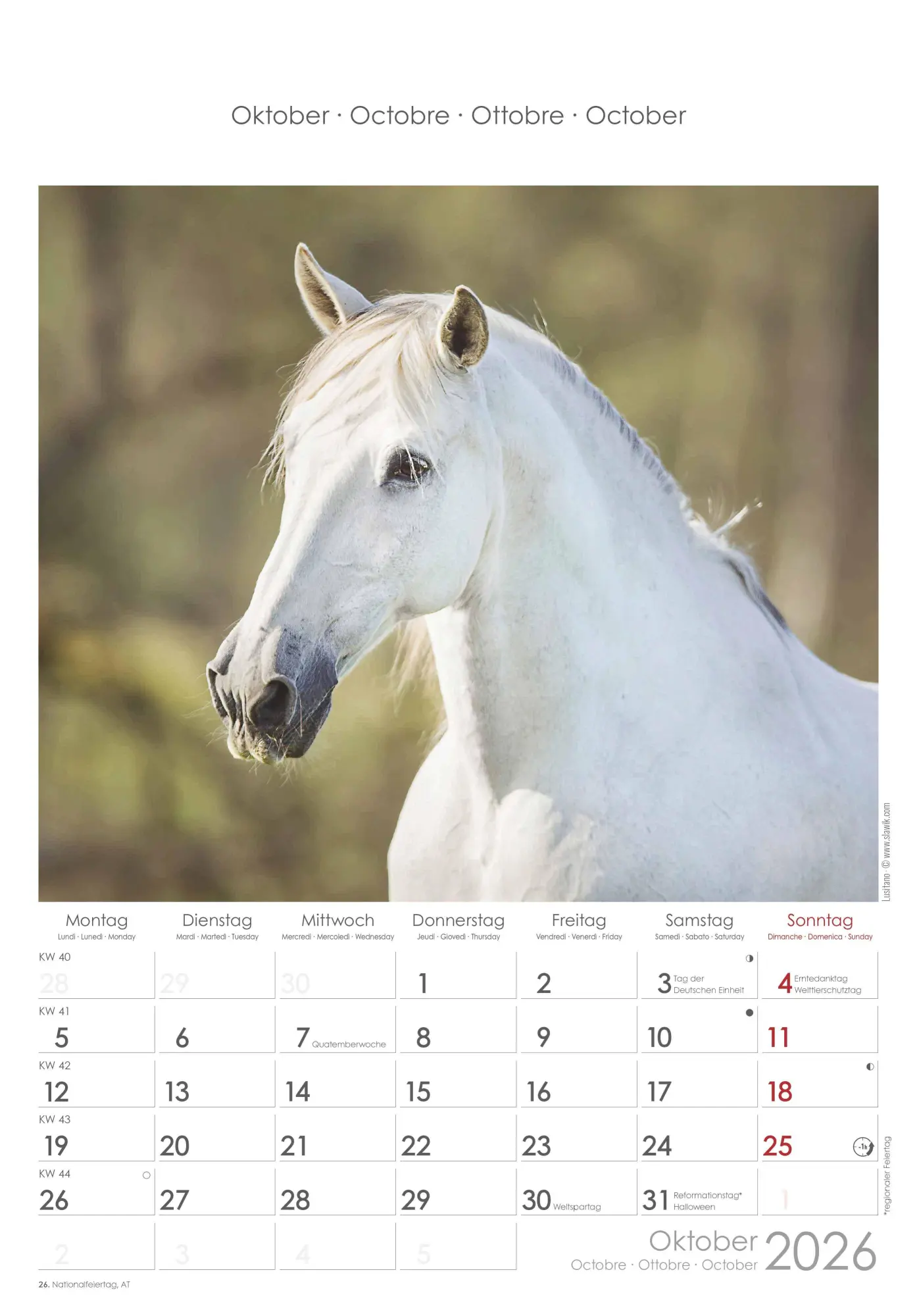 Bild: 4069095004894 | Pferde 2026 - Bildkalender 23,7x34 cm - Kalender mit Platz für...