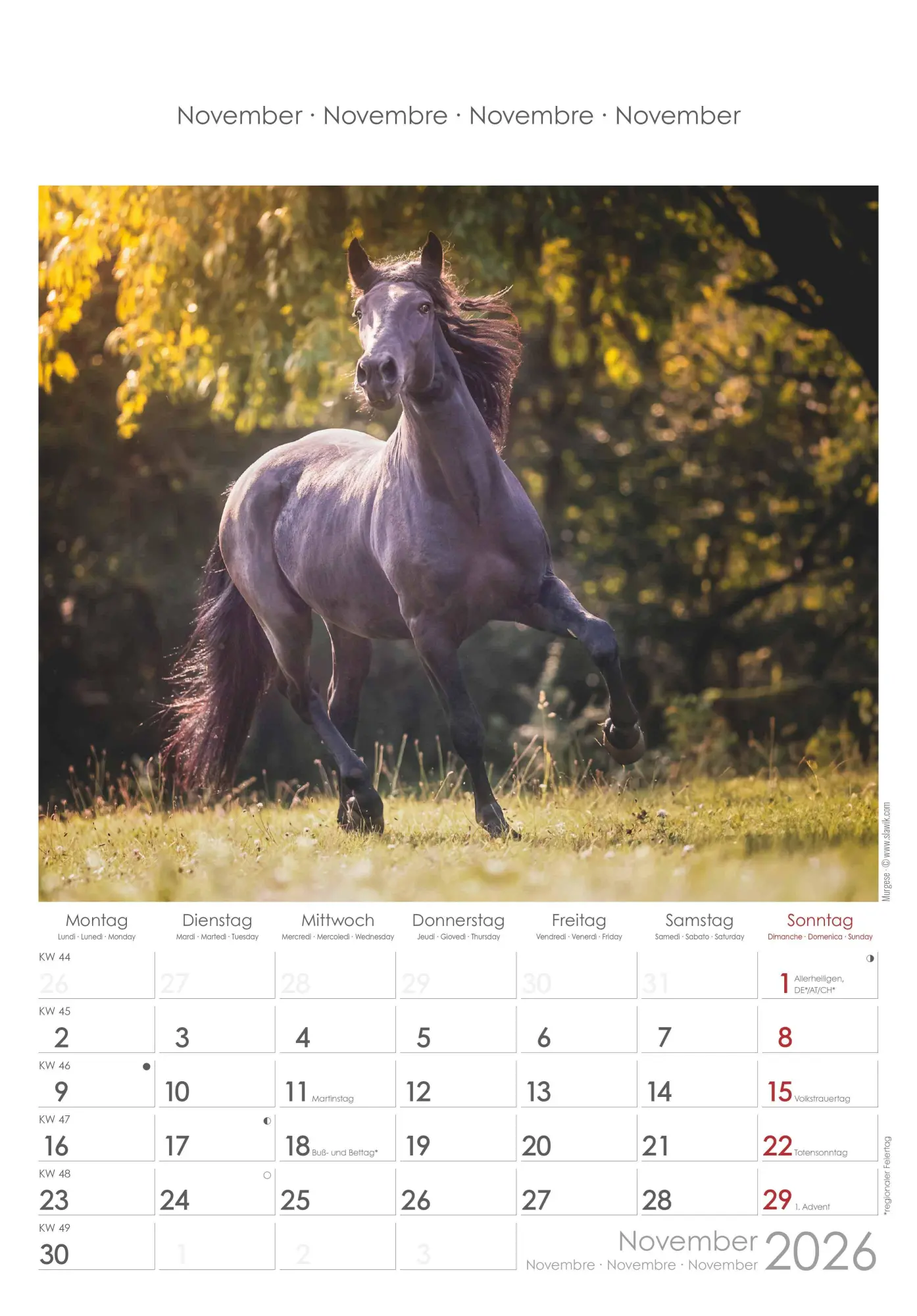 Bild: 4069095004894 | Pferde 2026 - Bildkalender 23,7x34 cm - Kalender mit Platz für...
