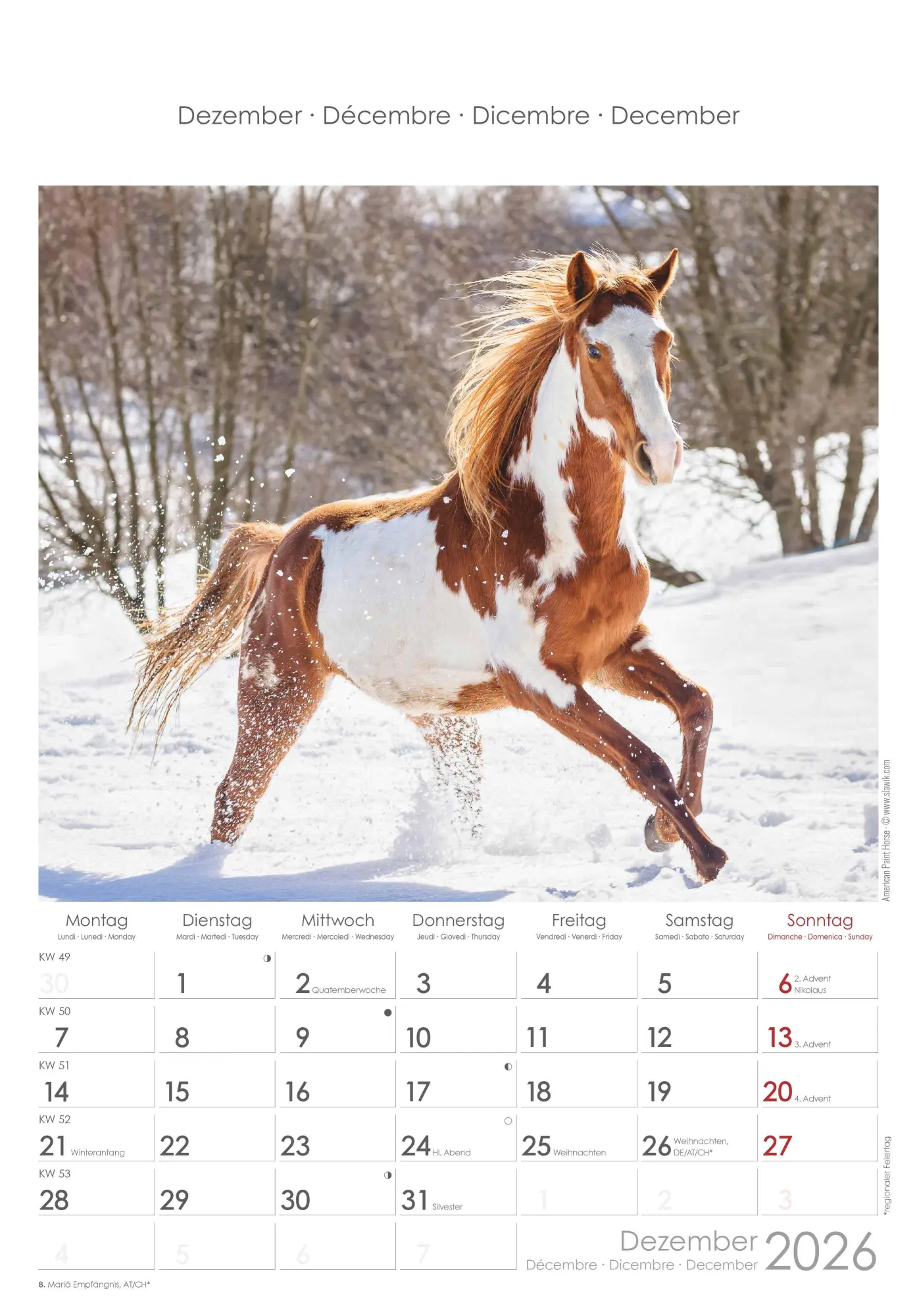 Bild: 4069095004894 | Pferde 2026 - Bildkalender 23,7x34 cm - Kalender mit Platz für...