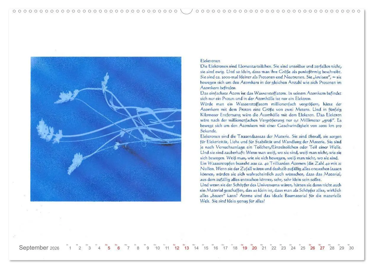 Bild: 9783457514894 | Wundervolle Wirklichkeit - Nachdenk-Kalender (Wandkalender 2026 DIN...