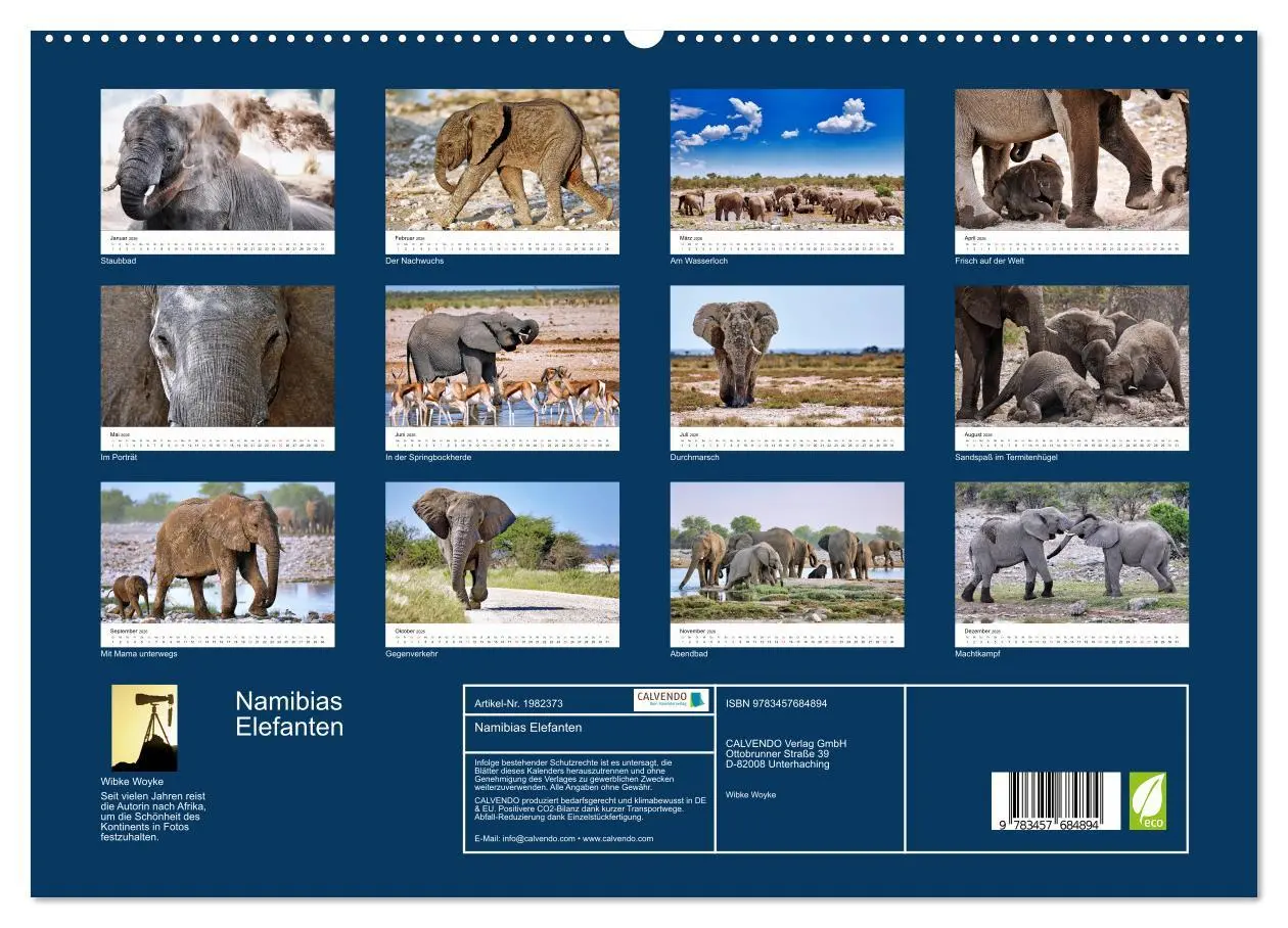 Bild: 9783457684894 | Namibias Elefanten (hochwertiger Premium Wandkalender 2026 DIN A2...