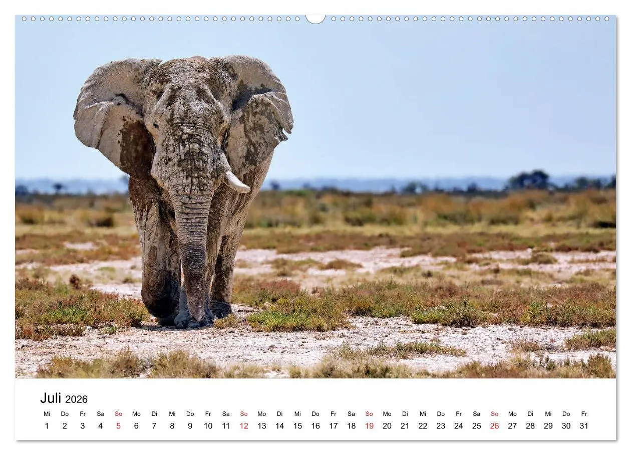Bild: 9783457684894 | Namibias Elefanten (hochwertiger Premium Wandkalender 2026 DIN A2...