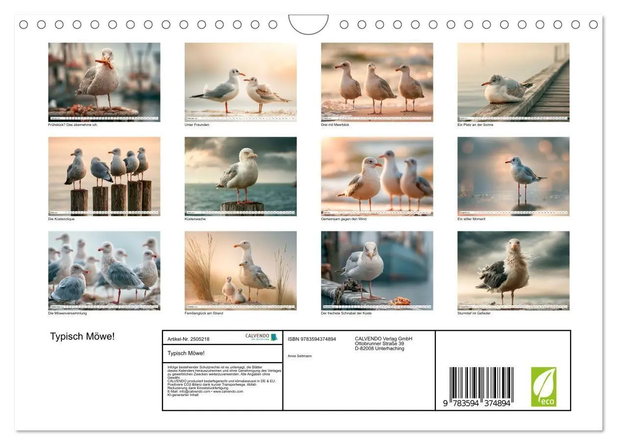 Bild: 9783594374894 | Typisch Möwe! (Wandkalender 2027 DIN A4 quer), CALVENDO Monatskalender