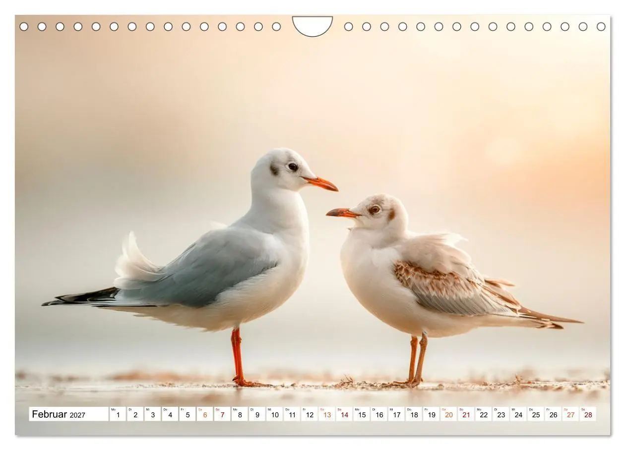Bild: 9783594374894 | Typisch Möwe! (Wandkalender 2027 DIN A4 quer), CALVENDO Monatskalender