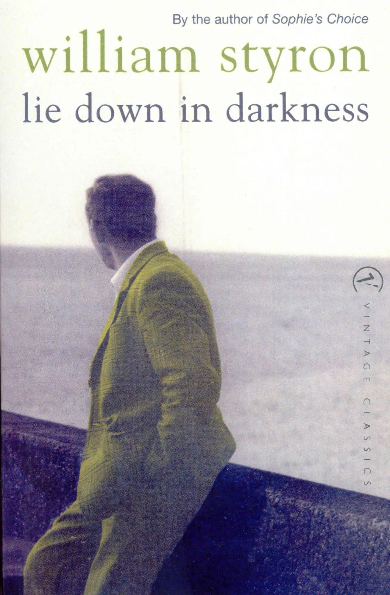 Cover: 9780099284994 | Lie Down In Darkness | William Styron | Taschenbuch | Englisch | 2000