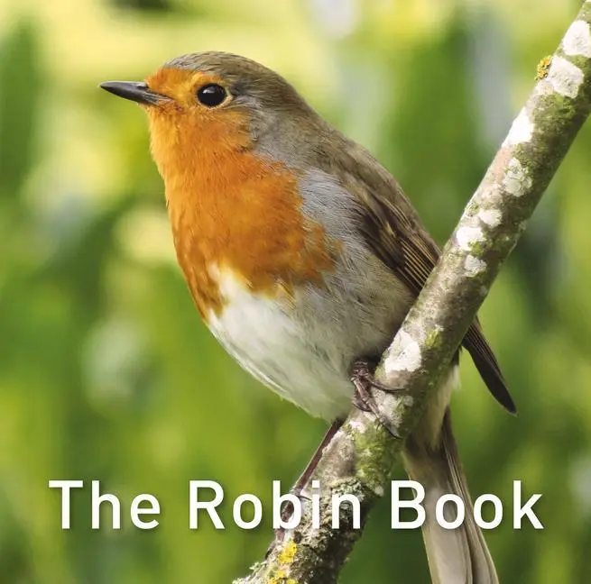 Cover: 9781912654994 | Nature Book Series: The Robin Book | Jane Russ | Buch | Gebunden