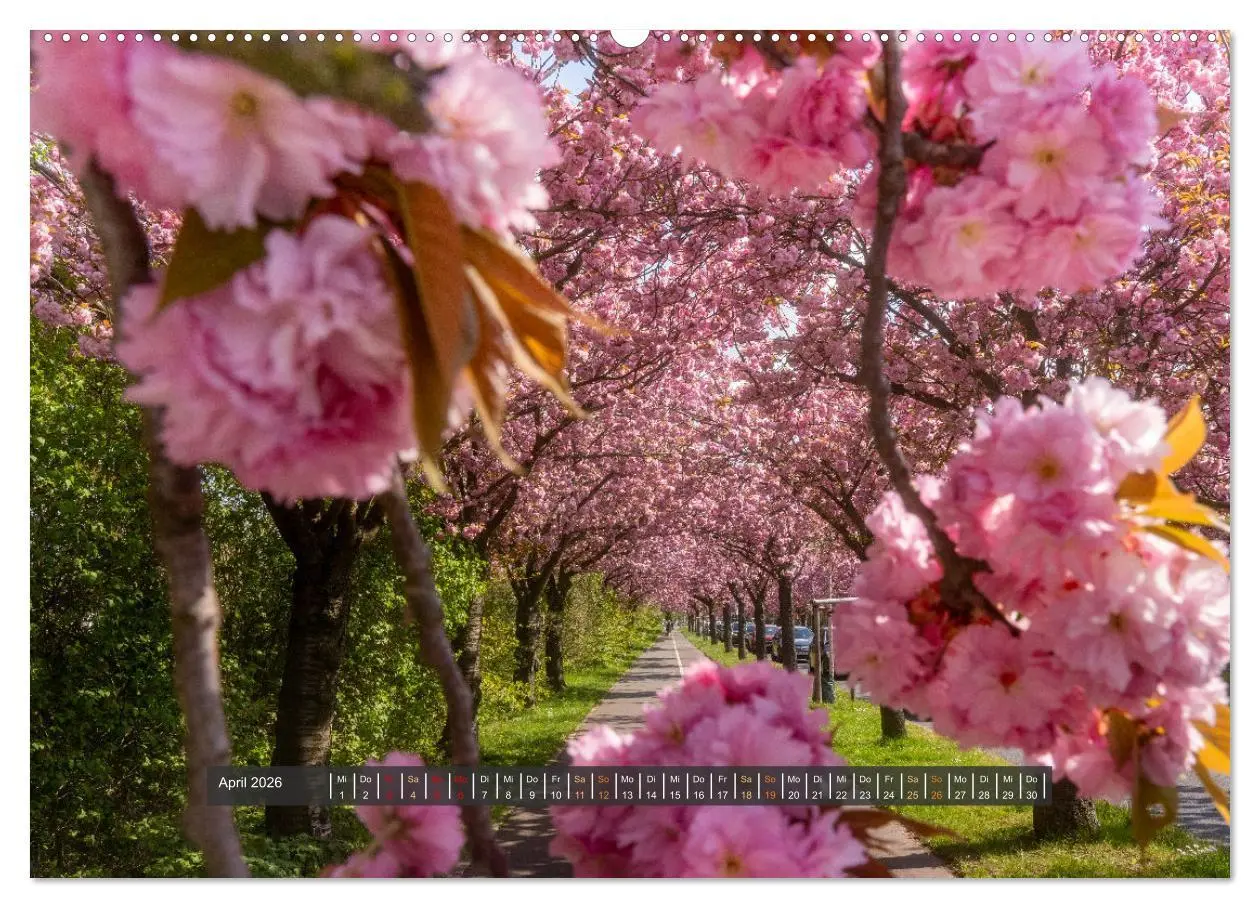 Bild: 9783457674994 | Magdeburg entdecken (hochwertiger Premium Wandkalender 2026 DIN A2...