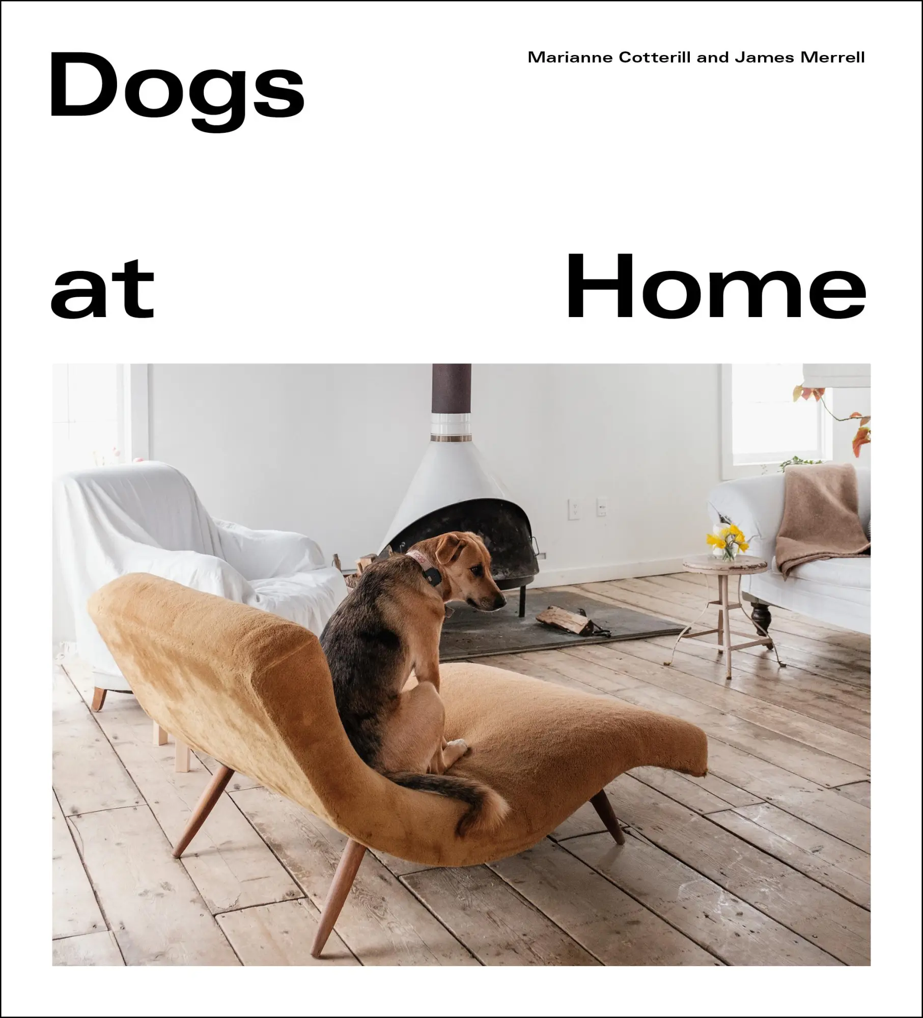 Cover: 9781529105094 | Dogs at Home | Marianne Cotterill | Buch | Gebunden | Englisch | 2021