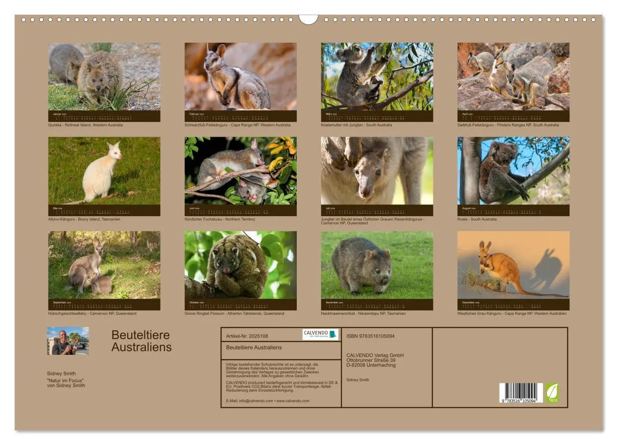 Bild: 9783516105094 | Beuteltiere Australiens (Wandkalender 2026 DIN A2 quer), CALVENDO...