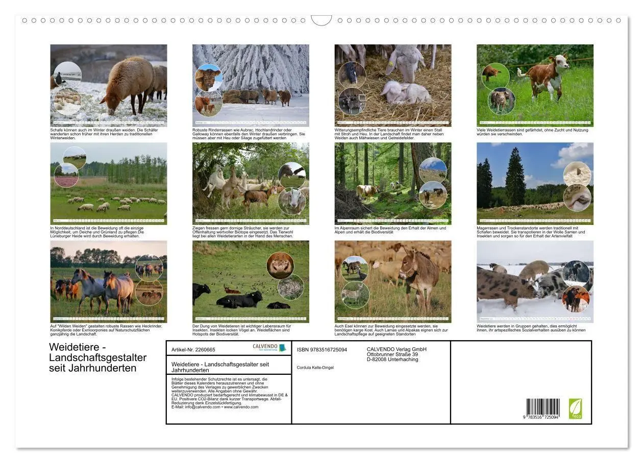 Bild: 9783516725094 | Weidetiere - Landschaftsgestalter seit Jahrhunderten (Wandkalender...