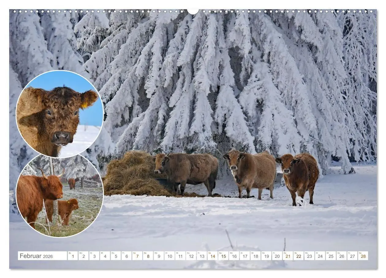 Bild: 9783516725094 | Weidetiere - Landschaftsgestalter seit Jahrhunderten (Wandkalender...