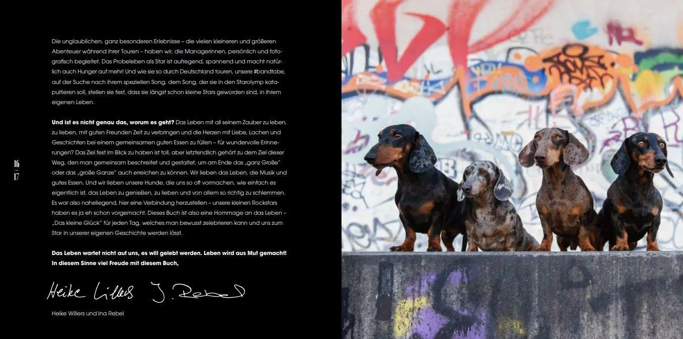 Bild: 9783690285094 | The Weeeens Eat.Rock.Love. | THE KITCHEN &amp; TRAVEL DIARIES | Buch