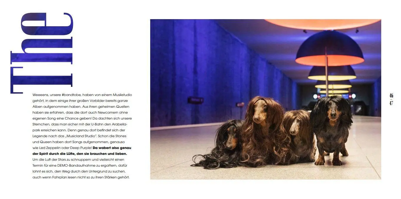 Bild: 9783690285094 | The Weeeens Eat.Rock.Love. | THE KITCHEN &amp; TRAVEL DIARIES | Buch