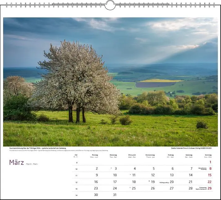 Bild: 9783861925194 | Malerisches Thüringen 2026 | verschiedene | Kalender | Spiralbindung