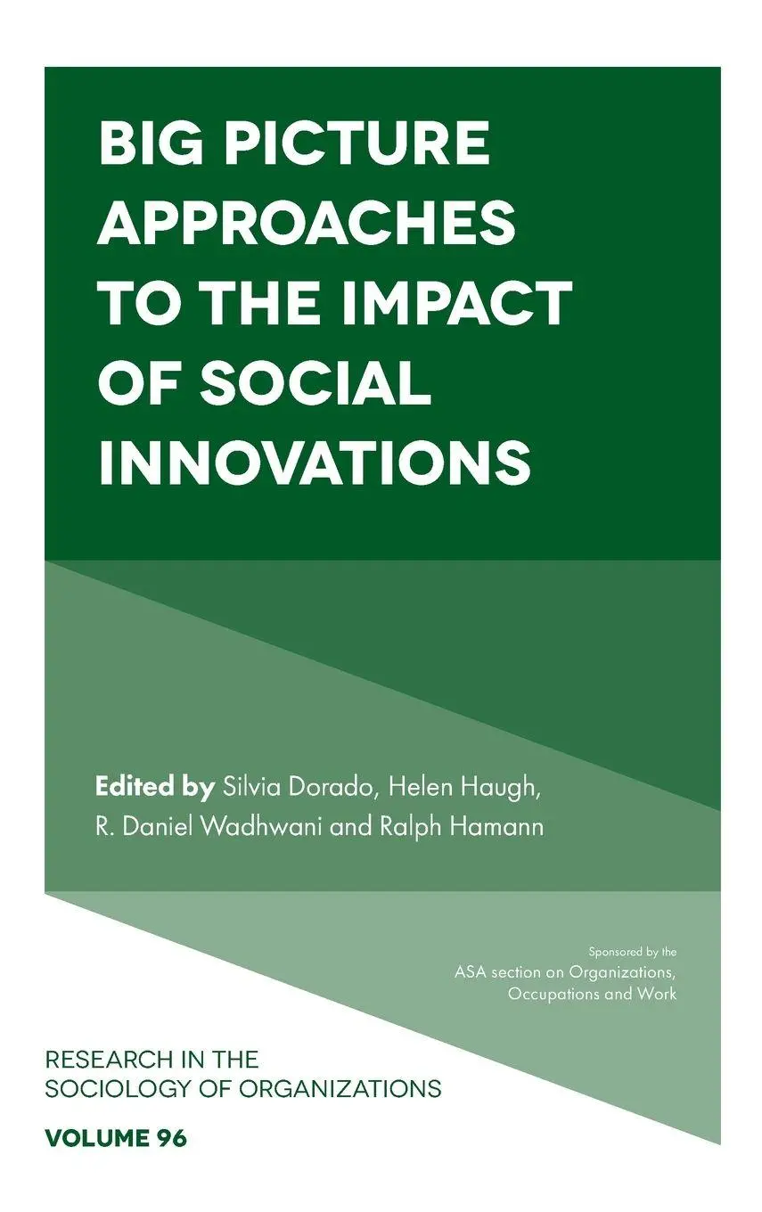 Cover: 9781836085294 | Big Picture Approaches to the Impact of Social Innovations | Buch