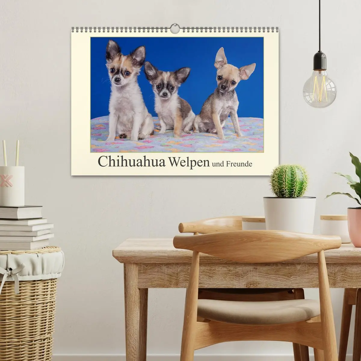 Bild: 9783435835294 | Chihuahua Welpen und Freunde (Wandkalender 2025 DIN A3 quer),...