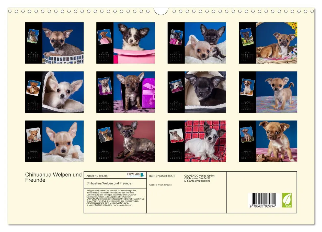 Bild: 9783435835294 | Chihuahua Welpen und Freunde (Wandkalender 2025 DIN A3 quer),...